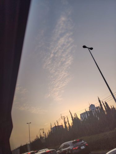 自己流で鶏ひき肉を料理してみた