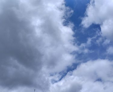 憧れていた結婚生活　鬱病との戦いで終わる