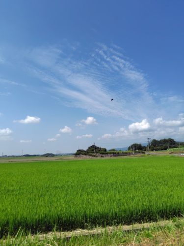 習慣化の21日の18日目　ツヤツヤの唇を目指して