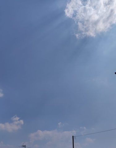 習慣化の21日の19日目　スペインのお菓子頂きました