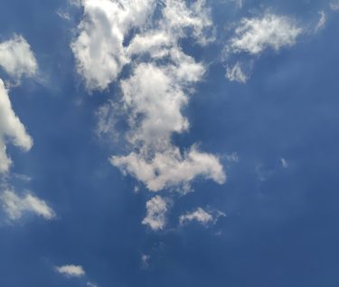 頑張った自分を褒めます