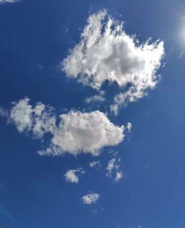 持って生まれた貴重な個性