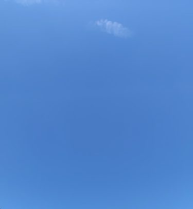 お団子はありませんが、お腹いっぱい