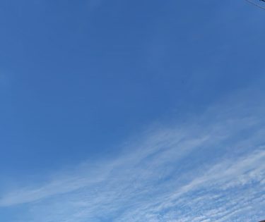 腹８分目で秋の味覚を楽しもう